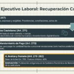 Estructura Ley 2452-2025 - Proceso Laboral