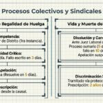 Estructura Ley 2452-2025 - Proceso Laboral